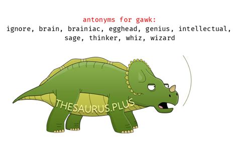 GAWK in Thesaurus: 100+ Synonyms & Antonyms for GAWK